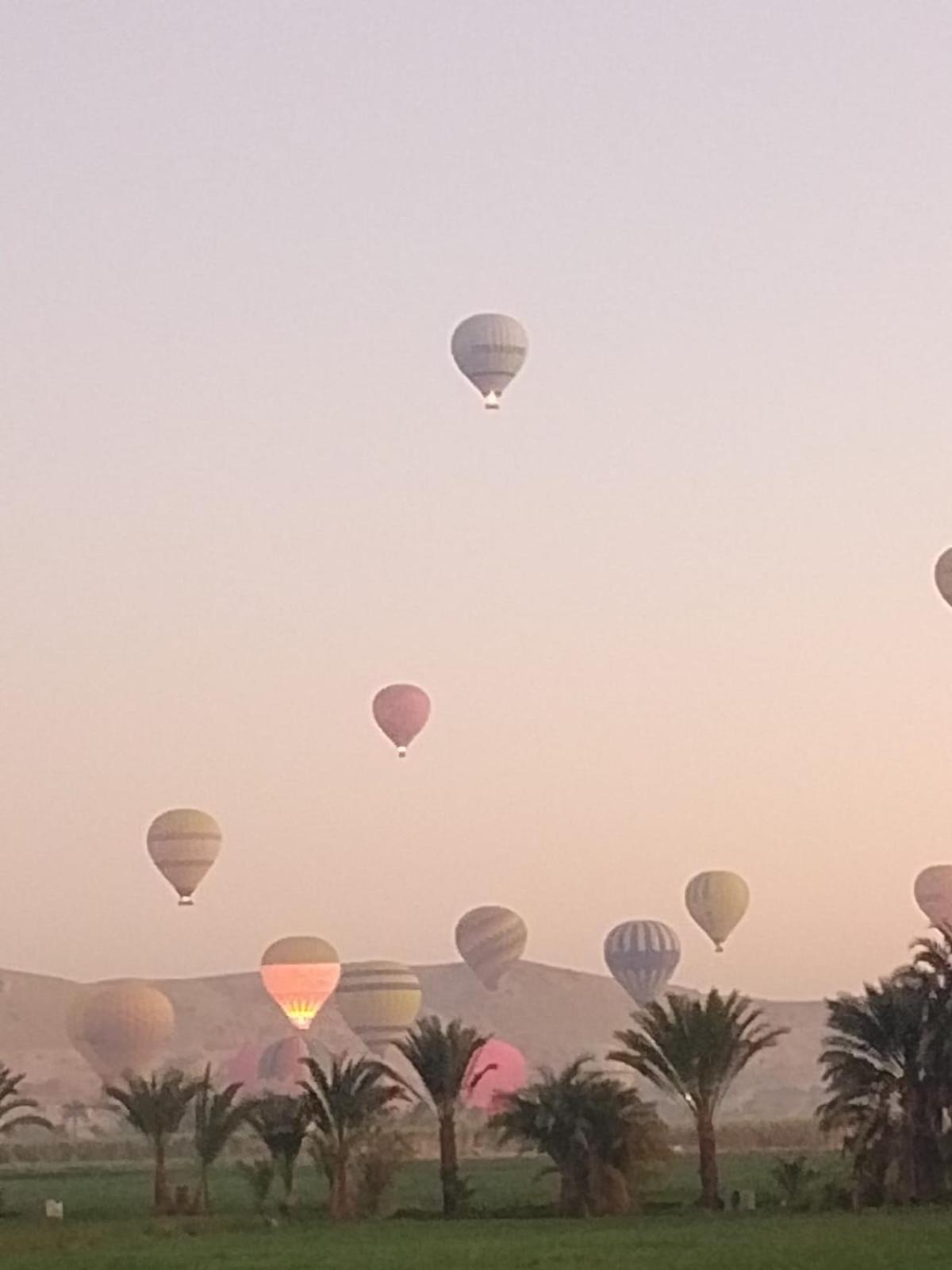Hotel Egypt Amon Luksor Zewnętrze zdjęcie